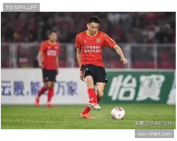深圳新鹏城1-0击败辽宁铁人，主场优势显现